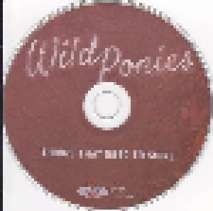 Wild Ponies: Things That Used To Shine (CD) - Bild 3