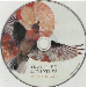 Trampled By Turtles: Wild Animals (CD) - Bild 3