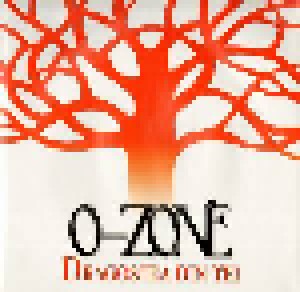 O-Zone: Dragostea Din Tei (12") - Bild 1