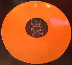 Dimmu Borgir: For All Tid (2-LP) - Bild 3