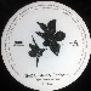 Keiichi Okabe + Keigo Hoashi + Kuniyuki Takahashi: Nier: Automata / Nier Gestalt & Replicant Original Soundtrack Vinyl Box Set (Split-4-LP) - Bild 9