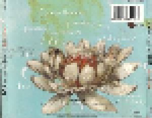 Toad The Wet Sprocket: Dulcinea (CD) - Bild 2