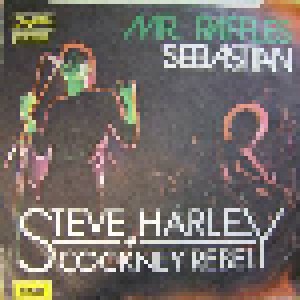 Steve Harley & Cockney Rebel: Mr. Raffles (7") - Bild 1