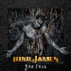 King James: The Fall (CD) - Bild 1