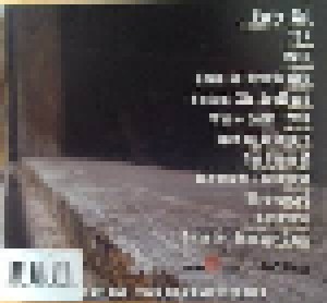 Turnpike Troubadours: Diamonds & Gasoline (CD) - Bild 2