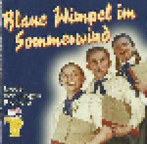Blaue Wimpel Im Sommerwind - Cover