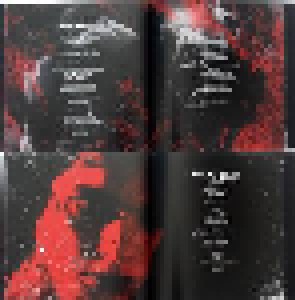 W.A.S.P.: Reidolized - The Soundtrack To The Crimson Idol (2-CD + DVD + Blu-ray Disc) - Bild 9
