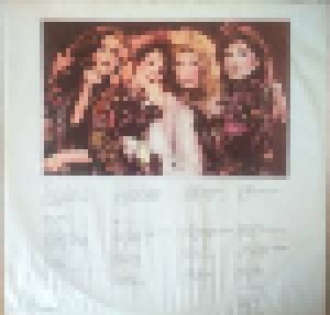 Stevie Nicks: The Wild Heart (LP) - Bild 5