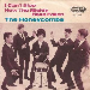 Cover - Honeycombs, The: I Can't Stop