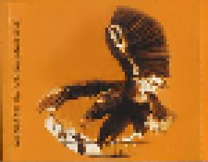 Wishbone Ash: Raw To The Bone (2-CD) - Bild 4