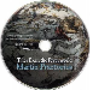 Martin Praetorius: Tales From The Feverworld (CD) - Bild 6