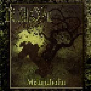N.A.O.S.: Melancholia - Cover