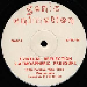 Sonic Animation: Time Is An Illusion (12") - Bild 2