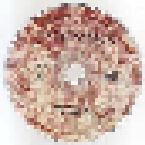 Allerseelen: Pedra (Mini-CD / EP) - Bild 3