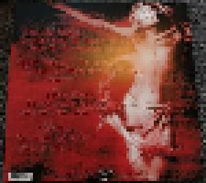 Dimmu Borgir: Puritanical Euphoric Misanthropia (2-LP) - Bild 3