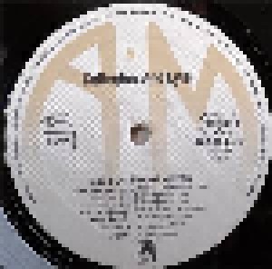Gallagher & Lyle: Love On The Airwaves (LP) - Bild 3