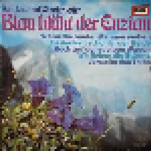 Ina Bergner & Fred Heiders: Blau Blüht Der Enzian (LP) - Bild 1
