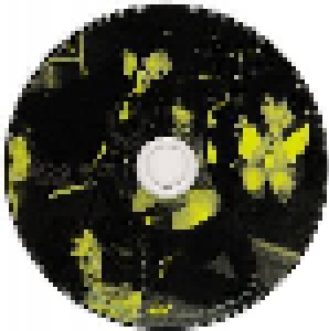 The 5.6.7.8's: Golden Hits Of The 5.6.7.8`s (CD) - Bild 3