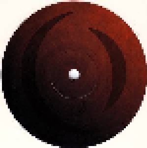 A Perfect Circle: The Doomed / Disillusioned (10") - Bild 4