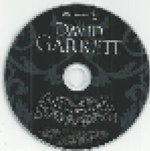 David Garrett: Rock Symphonies (CD) - Bild 3