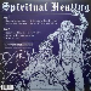 Death: Spiritual Healing (LP) - Bild 2