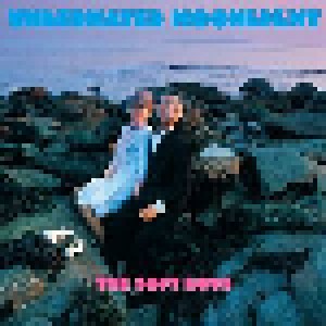 The Soft Boys: Underwater Moonlight (CD) - Bild 1