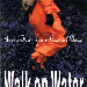 Jerry Harrison: Walk On Water - Cover