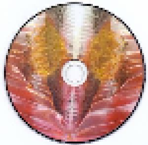 Scraps Of Tape: The Will To Burn (CD) - Bild 3