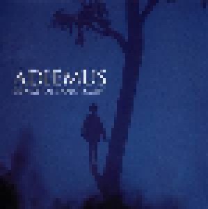 Adiemus: Songs Of Sanctuary (LP) - Bild 1