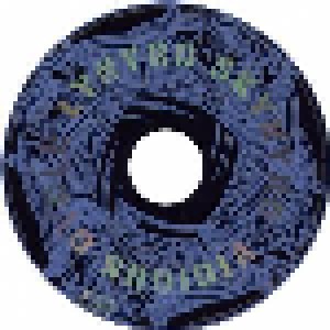 Lynyrd Skynyrd: Vicious Cycle (CD) - Bild 3