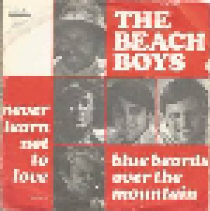 The Beach Boys: Bluebirds Over The Mountain (7") - Bild 1