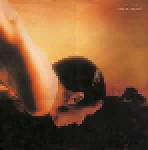 Porcupine Tree: On The Sunday Of Life... (2-LP) - Bild 1