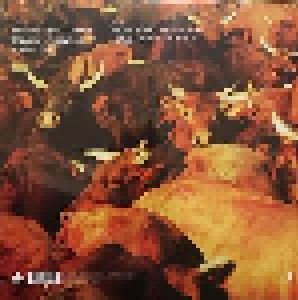 Midnight Oil: Capricornia (LP) - Bild 2