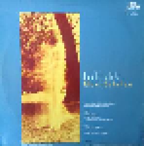 Klaus Schulze: Irrlicht (LP) - Bild 4
