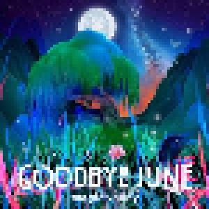 Cover - Goodbye June: Magic Valley