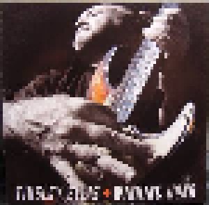 Tinsley Ellis: Winning Hand (CD) - Bild 1
