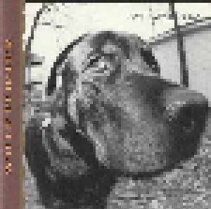Willy Porter: Dog Eared Dream (CD) - Bild 1