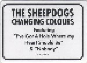 The Sheepdogs: Changing Colours (CD) - Bild 10
