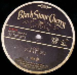 Black Stone Cherry: Family Tree (2-LP) - Bild 8