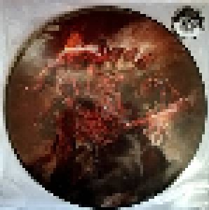 Morbid Angel: Kingdoms Disdained (PIC-LP) - Bild 2