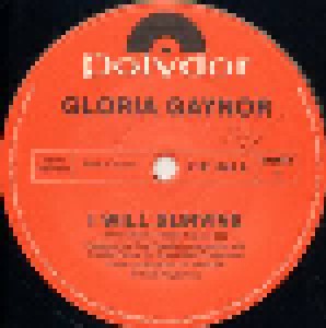 Gloria Gaynor: I Will Survive (12") - Bild 3