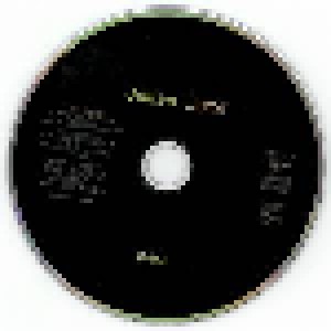 Julian Cope: Fried (CD) - Bild 2