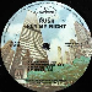 Rush: Fly By Night (LP) - Bild 6