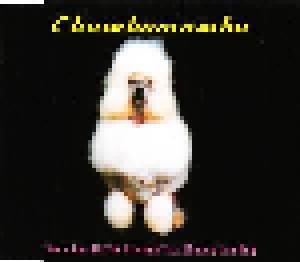 Chumbawamba: She's Got All The Friends That Money Can Buy (Single-CD) - Bild 1