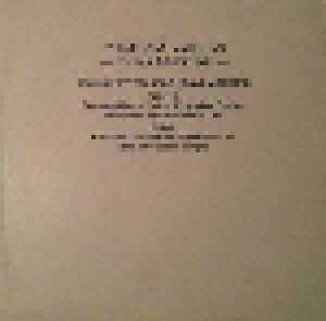 Stevie Ray Vaughan: Texas Medicine (2-LP) - Bild 2