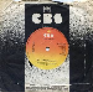 The Byrds: Mr. Tambourine Man / Turn! Turn! Turn! (7") - Bild 1
