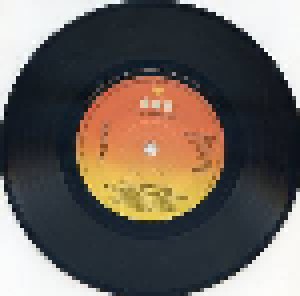 The Byrds: Mr. Tambourine Man / Turn! Turn! Turn! (7") - Bild 2