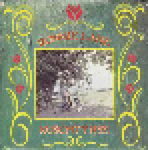 Ronnie Lane: Kuschty Rye - Cover