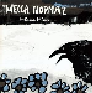 Mecca Normal: Flood Plain (CD) - Bild 1