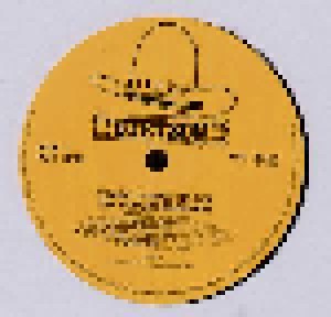 The Louvin Brothers: Tragic Songs Of Life (LP) - Bild 3